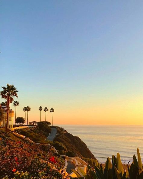 Laguna Beach California Aesthetic, Laguna Beach Aesthetic, Laguna California, Plum Cobbler, Laguna Niguel California, Los Angeles Aesthetic, Laguna Beach California, Los Angeles Travel, California Vibe