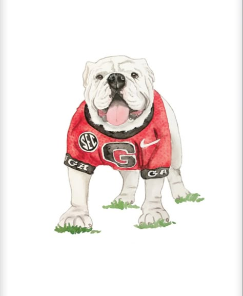 Uga Aesthetic, Georgia Bulldogs Decor, Uga Bulldog, Georgia University, Georgia Wallpaper, Bulldog Watercolor, Bulldog Wallpaper, Bulldog Drawing, Bulldog Decor