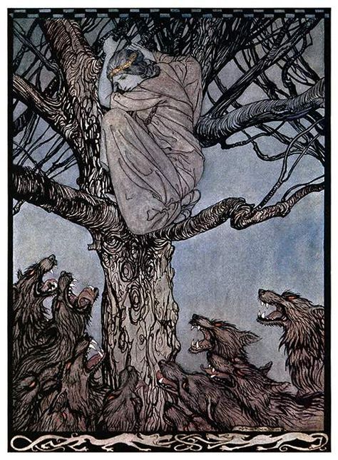 The Snarling Horde Below – Old Book Illustrations French Fairy Tales, Irish Fairy, Alice In Wonderland Illustrations, Irish Folklore, Arthur Rackham, She Wolf, Mini Art, Animal Paintings, Art Reproductions