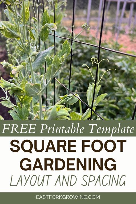 Learn all you need to know about square foot gardening and get the FREE printable template. This printable resource includes proper plant spacing for all common garden plants and a square foot gardening layout grid to help you make the most of your square foot garden plan. You can use this information to grow food in small spaces, raised beds, or your in-ground garden. Maximizing whatever space you have will lead to a more productive garden! Square Foot Gardening Layout 4x8, Square Foot Gardening Spacing, Food Garden Aesthetic, Trellis Vegetable Garden, Food Garden Layout, Victory Garden Plans, Food Garden Design, Square Foot Gardening Plans, Vegetable Garden Design Layout