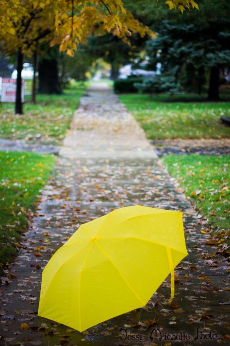 Yellow Umbrella Sighting | Decided to make the most of this … | Flickr Rainy Halloween, Transparent Umbrella, Uv Umbrella, Kids Umbrellas, Small Umbrella, I Love Rain, April Flowers, Yellow Umbrella, Mini Umbrella