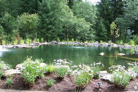 Large Water Features, Landscaping Patio, Retention Pond, Large Pond, Pond Pool, Fishing Pond, Backyard Ponds, Large Backyard Landscaping, Farm Pond