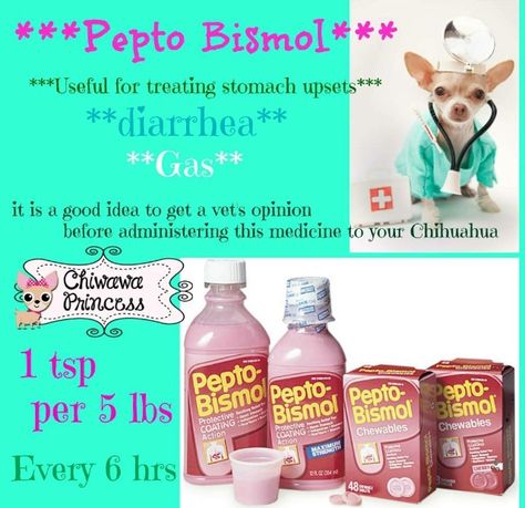 Cut Dog Nails, Baby Remedies, Pepto Bismol, Meds For Dogs, Pet Remedies, Yorkie Haircuts, Pet Meds, Dog Medicine, Dog Remedies