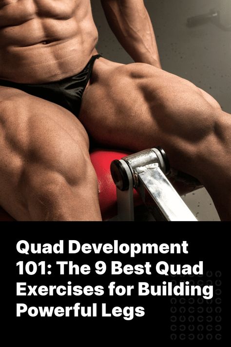 The quadriceps are one of the largest muscles in the human body and a signifier of strength, dedication, and mental fortitude. It’s no wonder building powerful legs is a dream of many fitness enthusiasts.    But what are the best quad exercises for developing the lower body? Is the squat enough, or Quad Workout Men, Quad Exercises Gym, Quad Focused Exercises, Best Quad Exercises, Compound Leg Exercises, Quad Strengthening, Quad Workout, Quads Workout, Legs Exercise