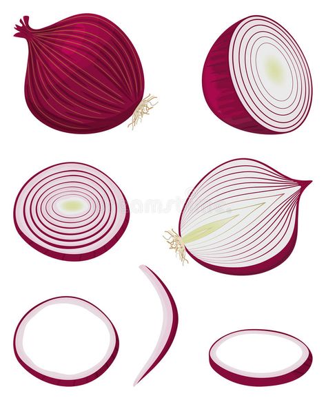 Onion Drawing, Recipe Book Printables, Pizza Drawing, Gouache Tutorial, Mysore Painting, Egg Vector, Page Decoration, Food Props, Food Drawing