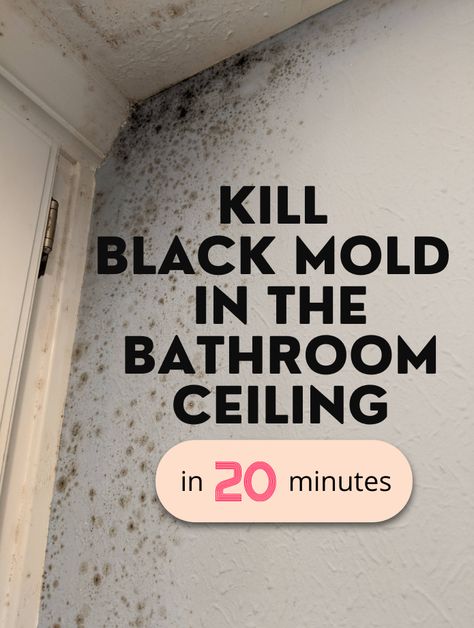 Black Mold In Shower, Mold On Bathroom Ceiling, Kill Black Mold, Clean Black Mold, Bathroom Mold Remover, Home Maintenance Tips, Black Mold, Mold In Bathroom, Cleaning Mold