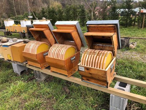 Bee Hive Stand, Top Bar Bee Hive, Honey Bee Farming, Bee Farming, Bee Hives Boxes, Bee Skeps, Top Bar Hive, Bee Hive Plans, Backyard Bee