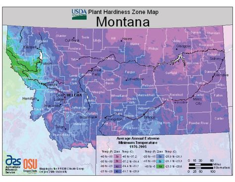 montana-vegetable-planting-calendar Growing Zones Map, Vegetable Planting Calendar, Montana Landscape, Vegetable Planting, Plant Hardiness Zone Map, Planting Calendar, Hardiness Zones, Vegetable Farming, Gardening Zones