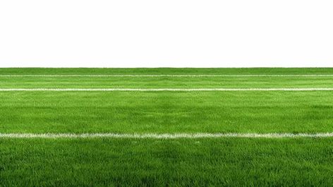 football grass,soccer grass,football court,sports field,soccer field,football ground,grass texture,sports ground,football field,grass floor,football stadium,artificial grass,stadium,sports stadium,soccer stadium,stadium background,grass background,grass pattern,green grass,grass,grass ground,football goal,green ground,grass field,soccer goal,soccer background,football background,grassland,football game,ground,football team,land texture,land,soccer team,green land Green Screen Plain, Land Texture, Football Ground Background, Court Background, Paper Texture Red, Football Field Background, Background Grass Nature, Football Court, Grass Floor