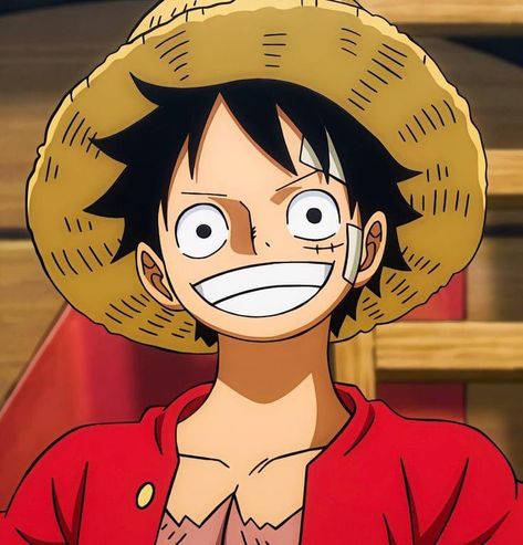 Anime Character One Piece, Luffy Anime Icon, One Peice Character, One Piece Characters Icon, Luffy Smile Icon, Cute Luffy One Piece, One Piece Luffy Smile, One Piece Luffy Pfp, Luffy Smiling