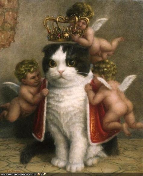 haha. is this art? i dont know and i dont care Lady Cat, Arte Animal, Grumpy Cat, Cat Painting, Marie Antoinette, Crazy Cat Lady, White Cat, Crazy Cats, Cat Lady