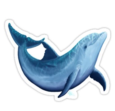 Vinyl Sticker - "Riversoul Blue" Dolphin | Wildlife Artist Amber Marine Bottlenose Dolphin, Sticker Design Inspiration, Wildlife Artists, Ipad Wallpaper, Dolphins, Digital Painting, Light Colors, Sticker Design, Vinyl Sticker