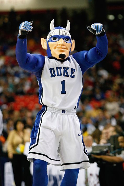 duke blue devils basketball team mascot..part of duke university, located in durham, north carolina. Duke Blue Devils Wallpaper, Duke University Campus, Duke University Basketball, Duke College, Duke Blue Devils Basketball, Concept Cars Vintage, Husky Pics, Durham North Carolina, College Aesthetic