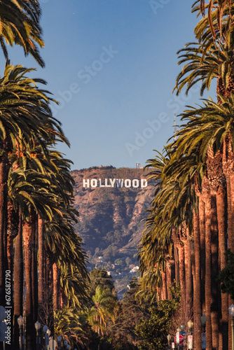 Stock Image: Hollywood sign in Los Angeles CA with palm trees during the summer vacation break in a sunny day Hollywood Sign Pictures, Los Angeles Palm Trees, San Francisco Tours, Los Angeles Aesthetic, Hollywood Lights, Los Angeles Neighborhoods, Los Angeles Beaches, Chicago Tours, Hollywood Sign