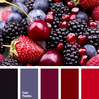 The combination of berry shades - dewberry, raspberry, blueberry, strawberry - and a pomegranate. This color scheme might look peculiar when complementing. In Color Balance, Color Palate, Design Seeds, Color Balance, Color Stories, Colour Schemes, Color Pallets, Color Swatches, Color Theory