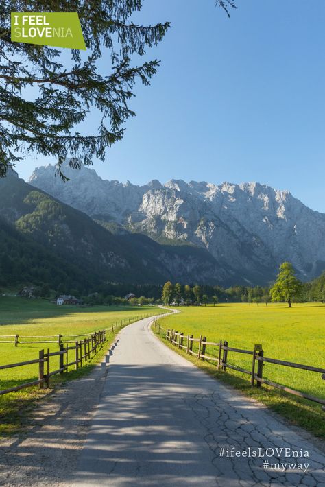 #slovenia Slovenia travel idea: Alpine Slovenia is a place to go for everyone who wants to spend time in nature. Hiking, biking or just plain exploring, you will find something for yourself. #europe #nature #travelideas Slovenia Aesthetic, Europe Travel Outfits Summer, Spend Time In Nature, Europe Nature, Visit Slovenia, Slovenia Travel, Wanderlust Photography, Hiking Photography, Time In Nature