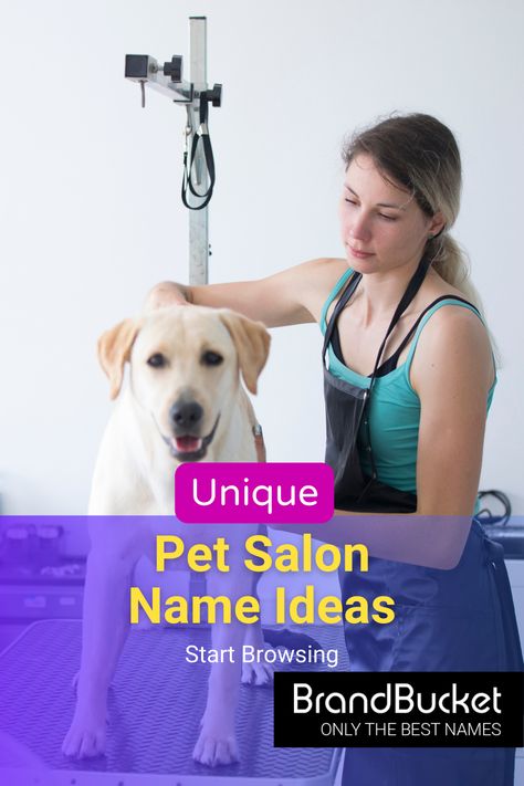 Have you been looking for a brand name for your pet grooming salon? We have plenty of options! Get a premium brand name here! pet grooming salon, pet grooming business, pet grooming van, pet grooming shop, pet boarding business names, pet grooming business names, dog grooming, dog grooming salon ideas, dog grooming salons, cat grooming salon, cat groomer, business name generator, business name ideas unique, clever startup name, catchy business name Cat Grooming Salon, Business Name Ideas Unique, Grooming Salon Ideas, Dog Grooming Salon Ideas, Parlour Names, Pet Grooming Shop, Grooming Salons, Names Dog, Salon Names Ideas