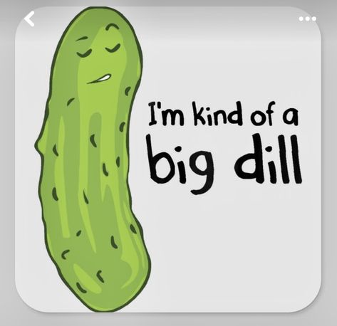 Pickle Quotes, Terra Cotta Pot Crafts Diy, Big Dill, Double Entendre, Canning Labels, Pirate Theme Party, Short Jokes Funny, Rock Painting Designs, Dill Pickle