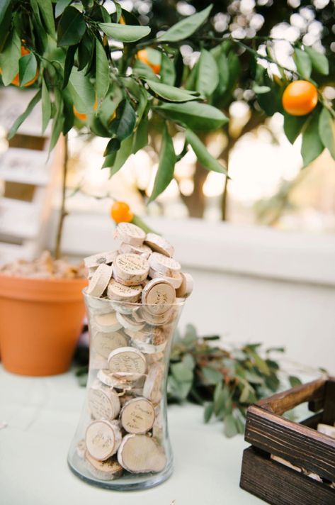 Old Florida Wedding Decor, Old Florida Wedding Theme, Florida Winter Wedding, Old Florida Wedding, Old Florida Decor, Sage And Orange, Couple Getting Married, Moss Photography, Wedding In Winter