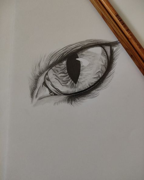 Eagle Eye Drawing, Eagle Eyes, Daily Planner Pages, Eagle Eye, Poses Reference, Anime Poses Reference, Eye Drawing, Anime Poses, Daily Planner