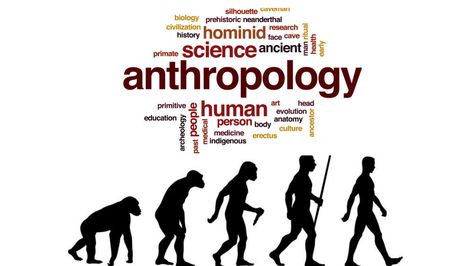 Anthropology Pictures, Anthropology Art, Anthropology Aesthetic, Study Meaning, Anthropology Major, Biological Anthropology, Basic Design Principles, History Background, Social Organization