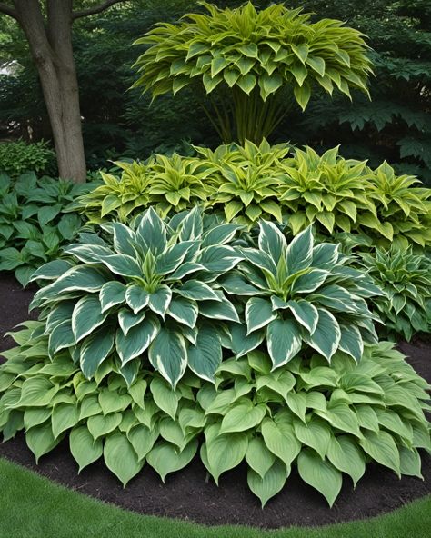 12 Best Companion Plants For Hostas Hostas Landscaping, Hosta Care, Backyard Flowers Beds, Best Companion Plants, Yard Flowers, Shade Garden Plants, Backyard Dreams, Hosta Gardens, Shade Gardens