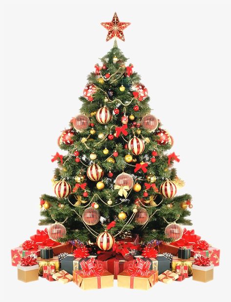 Tree With Presents, Xmas Tree Toppers, Christmas Tree Hat, Christmas Tree Star Topper, Gold Christmas Tree Decorations, Christmas Tree With Presents, Plastic Christmas Tree, Christmas Tree Tops, Christmas Tree Star