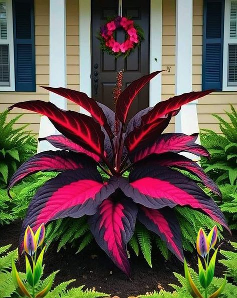 Greenery Art, Blue Flowers Garden, Outside Plants, Strange Flowers, Container Garden Design, Plant Care Houseplant, Leafy Plants, Flower Pots Outdoor, Diy Backyard Landscaping