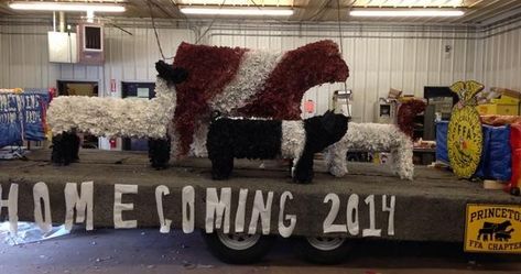 Ffa Christmas Float, Ffa Parade Float Ideas, Ffa Float Ideas For Parade, Ffa Ideas, Tractor Lights, Christmas Tractor, Christmas Parade Floats, Cow Parade, Christmas Float