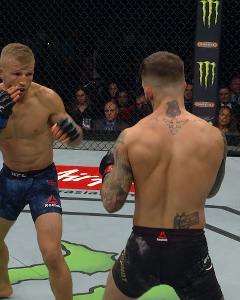 Tj Dillashaw, Cody Garbrandt, The Game Plan, Ultimate Fighter, Combat Sports, Ufc, Knock Knock, That Way, Sumo Wrestling