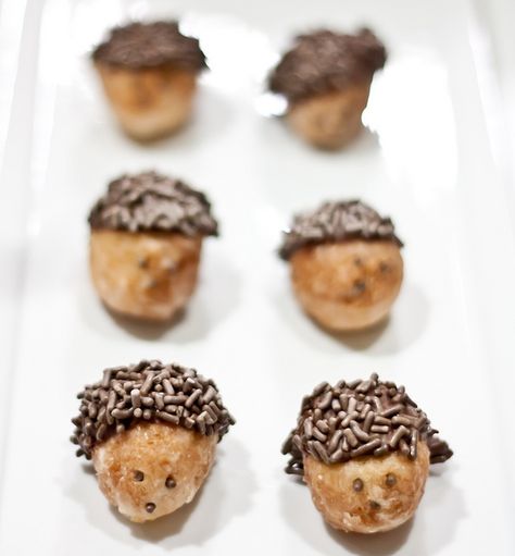 hedgehog donut holes Hedgehog Cute, Donut Holes, Cafe Ideas, Human Food, Winter Break, Kids Recipes, Hedgehogs, Food Themes, Pretzels