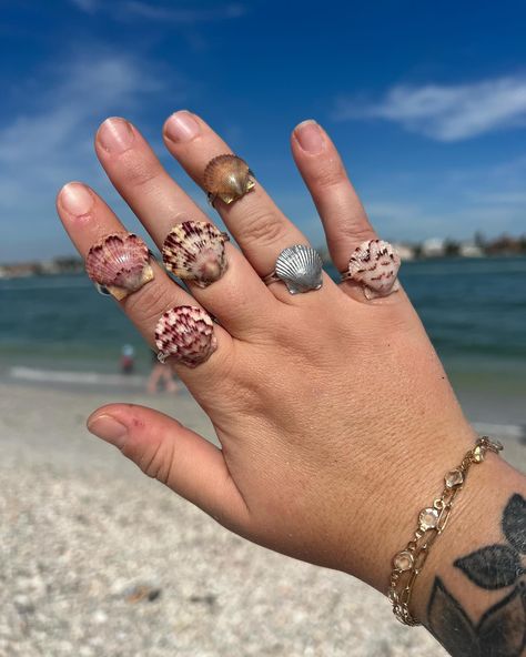 all rings adjustable & silver 🤍 #seashell #shell #shelljewelry #seashelljewelry #handmade #handmadejewelry #swfl Seashell Ring Diy, Rings Adjustable, Seashell Jewelry, Shell Ring, Diy Rings, Shell Jewelry, Shell Art, Shell Necklaces, Handmade Ring