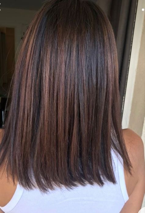 Shoulder Length Dark Hair Styles, Medium Length Bob No Layers, Fall Brunette Hair Color Straight, Shoulder Length Fall Hair Brunettes, Levels Of Brunette Hair, Newest Styles For Women, Trendy Brunette Hair 2023, Women’s Straight Hairstyles, Mahogany Balayage Short Hair