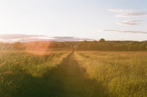 Super 8 Film Aesthetic, 8mm Film Aesthetic, Farmland Aesthetic, Golden Hour Field, Cmbyn Aesthetic, Landscape Field, Childhood Aesthetic, Film Shot, 8mm Film