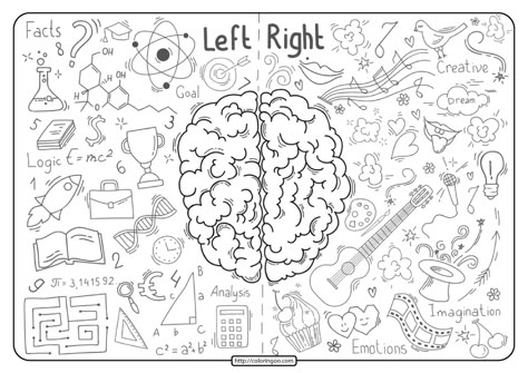 Brain Lobes, Left And Right Brain, Painting Pages, Human Body Science, Human Body Unit, Pdf Coloring Pages, Mario Coloring Pages, Barbie Coloring Pages, Coloring Drawing