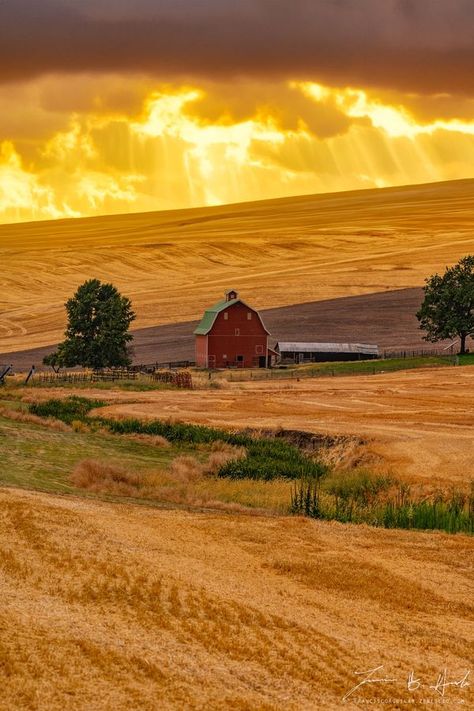 Photography Of The Palouse | A barn at sunset on the Palouse, a few weeks ago | Facebook The Palouse, Barn Photography, A Barn, Covered Bridges, Wheat, Landscape Photography, The Neighbourhood, Photography, Art