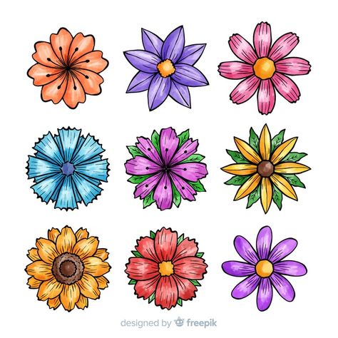 Colorful Flower Drawings Doodles, Colored Flowers Drawing, Easy Colourful Drawing, Types Of Flowers Drawing, Flower Clipart Printables, Procreate Beginner Tutorials, Flower Drawing Color, Floral Doodle Art, 2d Flowers