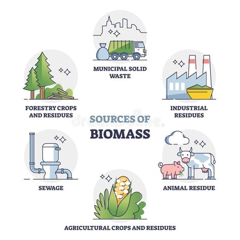 Sources of biomass energy as alternative power in outline collection diagram vector illustration Biomass Energy Poster, Biomass Energy Project, Waste Infographic, Renewable Energy Design, Biogas Generator, Carbon Credit, Sustainable Development Projects, Biomass Energy, Ozone Depletion