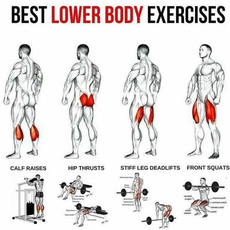 #lowerbody #lowerbodyworkout #workout #workoutmotivation #exercise #training #legs #legworkout #legday #legdayworkout #squats #legpress #lunges Healthy Physique, Lower Body Exercises, Exercises For Men, Leg Workouts Gym, Fitness Studio Training, Gym Workout Planner, Gym Antrenmanları, Muscle Abdominal, Gym Workout Chart