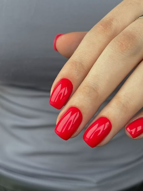 Red Shilak, Reddish Nails, Red Gel Nails Short, Classy Red Nails, Hot Red Nails, Bright Gel Nails, Winter Nails Ideas, Bright Red Nails, Red Gel Nails