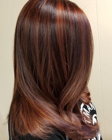 Dark Red Copper Highlights, Deep Brown Hair With Copper Highlights, Brown Hair W Ginger Highlights, Copper Low Lights Dark Brown, Cooper Highlights On Red Hair, Copper Hilights On Dark Hair, Brown Copper Hair Color With Highlights, Dark Copper Hair Color With Highlights, Red Toned Highlights Brown Hair