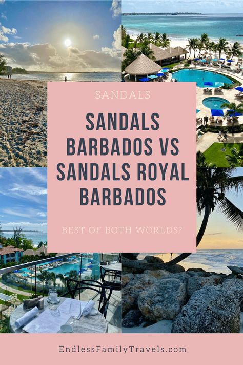 Struggling to decide which Barbados Sandals Resort to book? Let us give you our opinions based on our first-hand experience of both. We offer side-by-side comparisons and excursion options from this blissful St Lawrence Gap location. Wondering which resort wins, Sandals Barbados vs Sandals Royal Barbados? We reveal all the secrets of these wonderful resorts in this review. #Allinclusiveresort #Barbados #SandalsResorts Sandals Barbados, Barbados Resorts, Sandals Resort, Craft Beer Bar, Sandals Resorts, Rooftop Restaurant, St Lawrence, Caribbean Sea, Side By Side