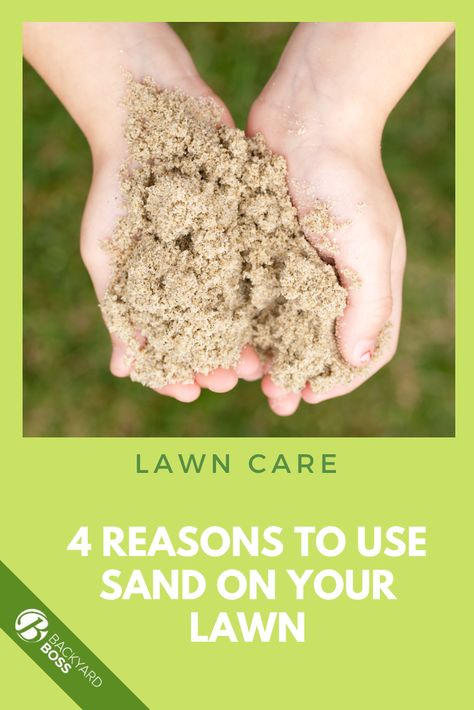 Do you want to take your lawn to the next level? Discover the surprising benefits of topdressing with sand. Find out how to do it safely and effectively for a healthy, vibrant lawn. Soon you'll have the lawn of your dreams! Reseeding Lawn, Farm Plants, Soil Conditioner, Gardening Diy, Healthy Lawn, Root Growth, Sandy Soil, Backyard Diy Projects, Top Soil