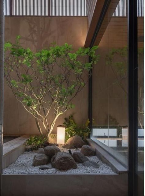 Jardin Zen Interior, Japandi Garden, Indoor Zen Garden, Small Zen Garden, Courtyard Plants, Indoor Courtyard, Small Outdoor Patios, Garden Court, Japanese Garden Landscape