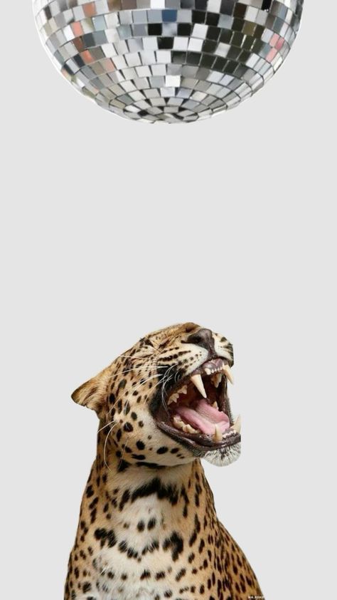 #background #cheetah #discoball #inspo #backgroundinspo Cheetah Background Aesthetic, Cheetah Phone Theme, Preppy Cheetah, Cheater Print, Glamour Cheetah, Cheetah Asthetic Picture, Cheetah Aesthetic, Cheetah Background, Cheetah Print Background