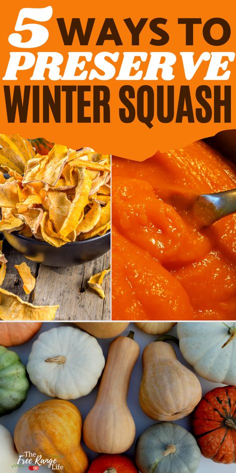 Preserve Squash, Canning Squash, Freezing Pumpkin, Canned Squash, Winter Squash Varieties, Buttercup Squash, Winter Squash Recipes, Fall Dec, Survival Garden