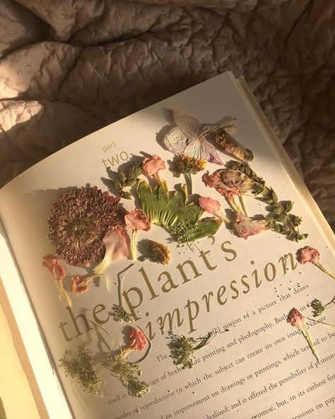 greene is gold on Instagram: "Pressing flowers in prep for the butterfly collection restock! If you’re looking to get into pressing flowers yourself I definitely recommend this book. It’s called The Pressed Plant and is by Andrea DiNoto and David Winter! I didn’t press my flowers in this book but it was super informative🦋💘" Plant Press, Pressing Flowers, Green Academia, Butterfly Collection, Pressed Flower, The Butterfly, Insta Photo Ideas, Book Aesthetic, Daisy Flower