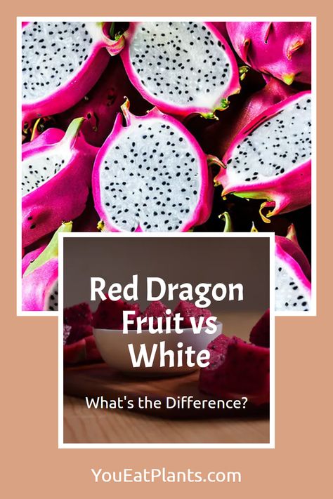 Beneath its scaly and prickly exterior, the dragon fruit hides a sweet and juicy secret just waiting to be discovered. This fruit, native to Central and South America, comes in two varieties: the vibrant red and the soft-shelled white. Each variety offers its own unique flavor and nutrition profile, so why not explore the differences between the two? Visit post to find out how you can use dragon fruit in your everyday diet, and how it can provide helpful benefits to your health. Dragon Fruit Jam Recipe, White Dragon Fruit, Yellow Dragon Fruit Benefits, Dragon Fruit Tea Recipe, How Do You Eat Dragon Fruit, Dragon Fruit Farm, Dragon Fruit Juice, Dragonfruit Recipes, Fruit Jam Recipes