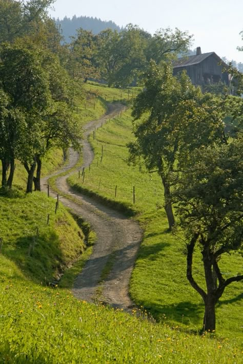 Beautiful Roads, Country Roads Take Me Home, Green Field, Winding Road, Dirt Road, Back Road, Green Gables, Country Road, Lush Green