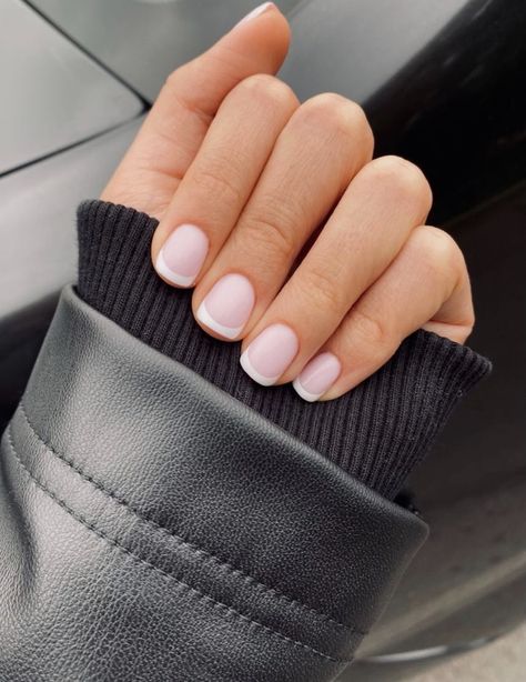 Nails Inspiration Rounded Square, French Tip Nails Small Nail Bed, American Manicure Nails Gel Short, Cute Squoval Nails, Small White Tip Nails, White Tip Acrylic Nails Squoval, Very Short Nails French Tip, No Chip Nail Ideas, No Chip French Manicure